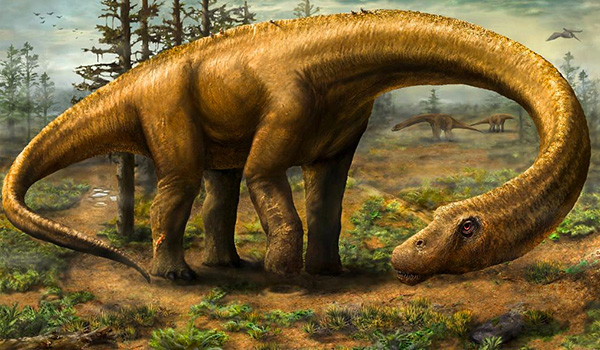 Dreadnoughtus | National Review Dreadnoughtus | National Review