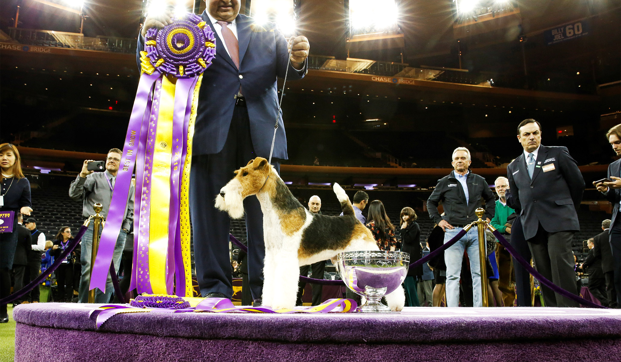 Which Dog Won The Westminster Dog Show 2019