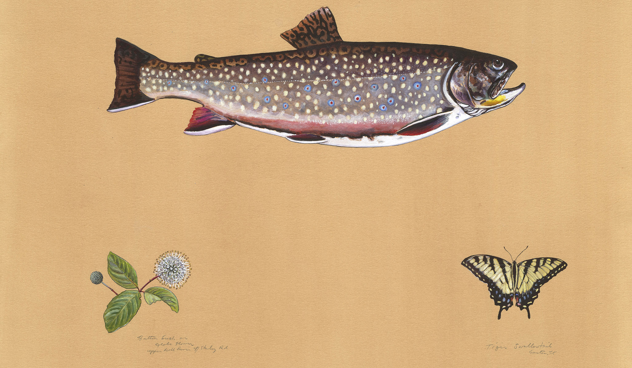 James Prosek: An American Original | National Review