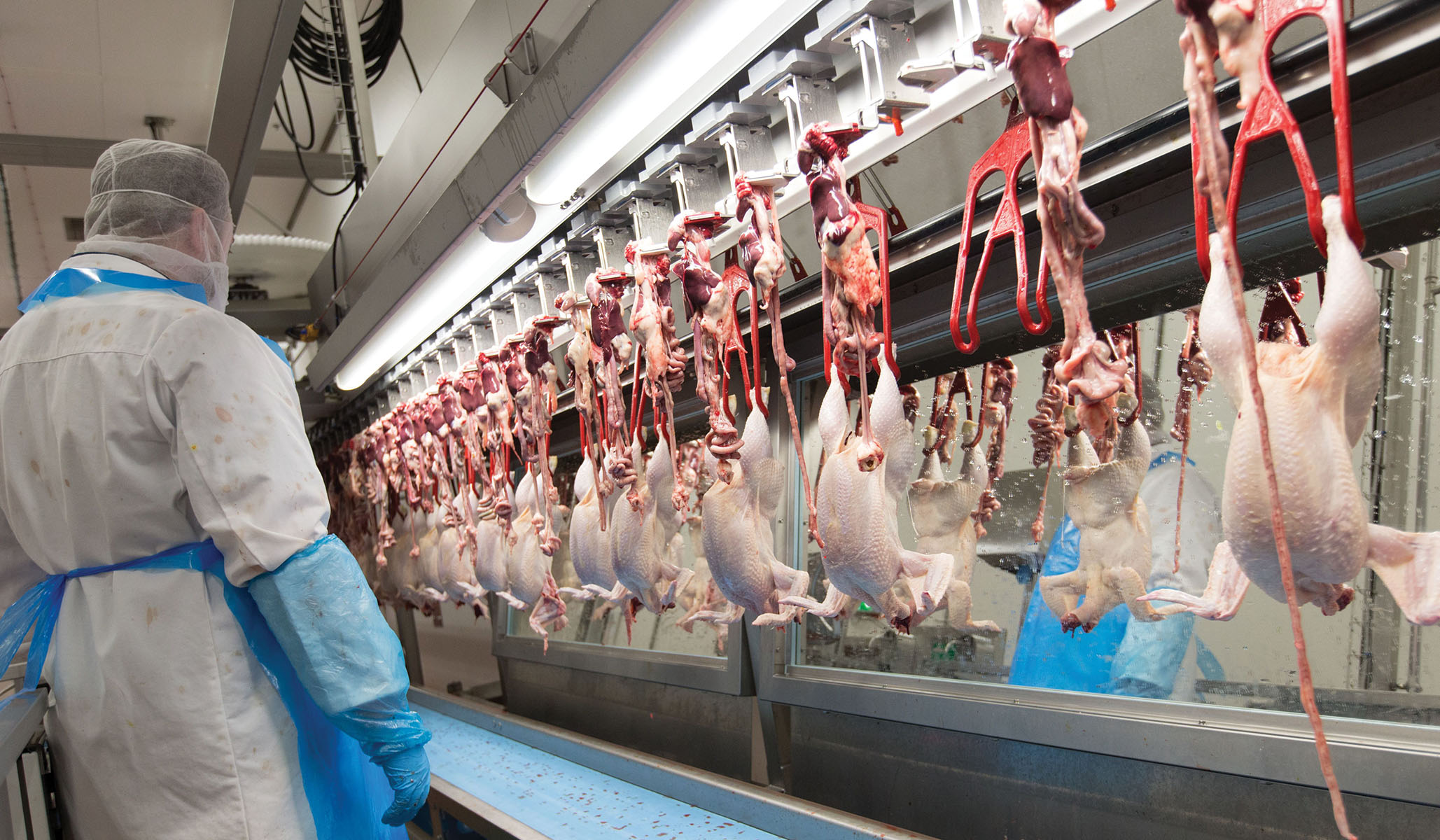 Senator Booker Is Right about Factory Farming | National Review Senator Booker Is Right about Factory Farming | National Review