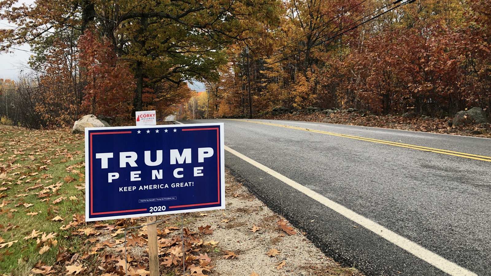 A Trump lawn sign by the roadside in New Hampshire.