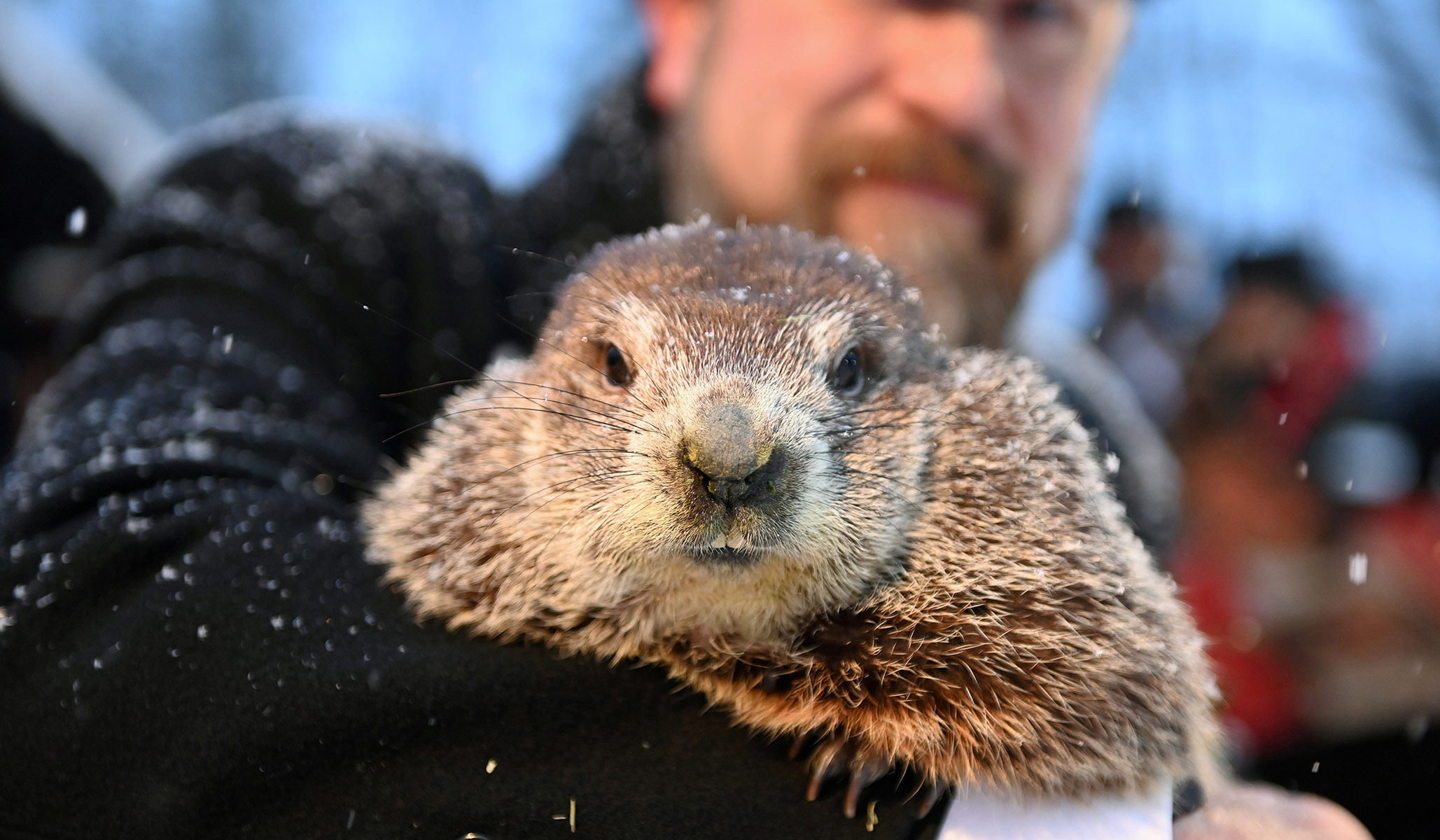 national review essay about groundhog day