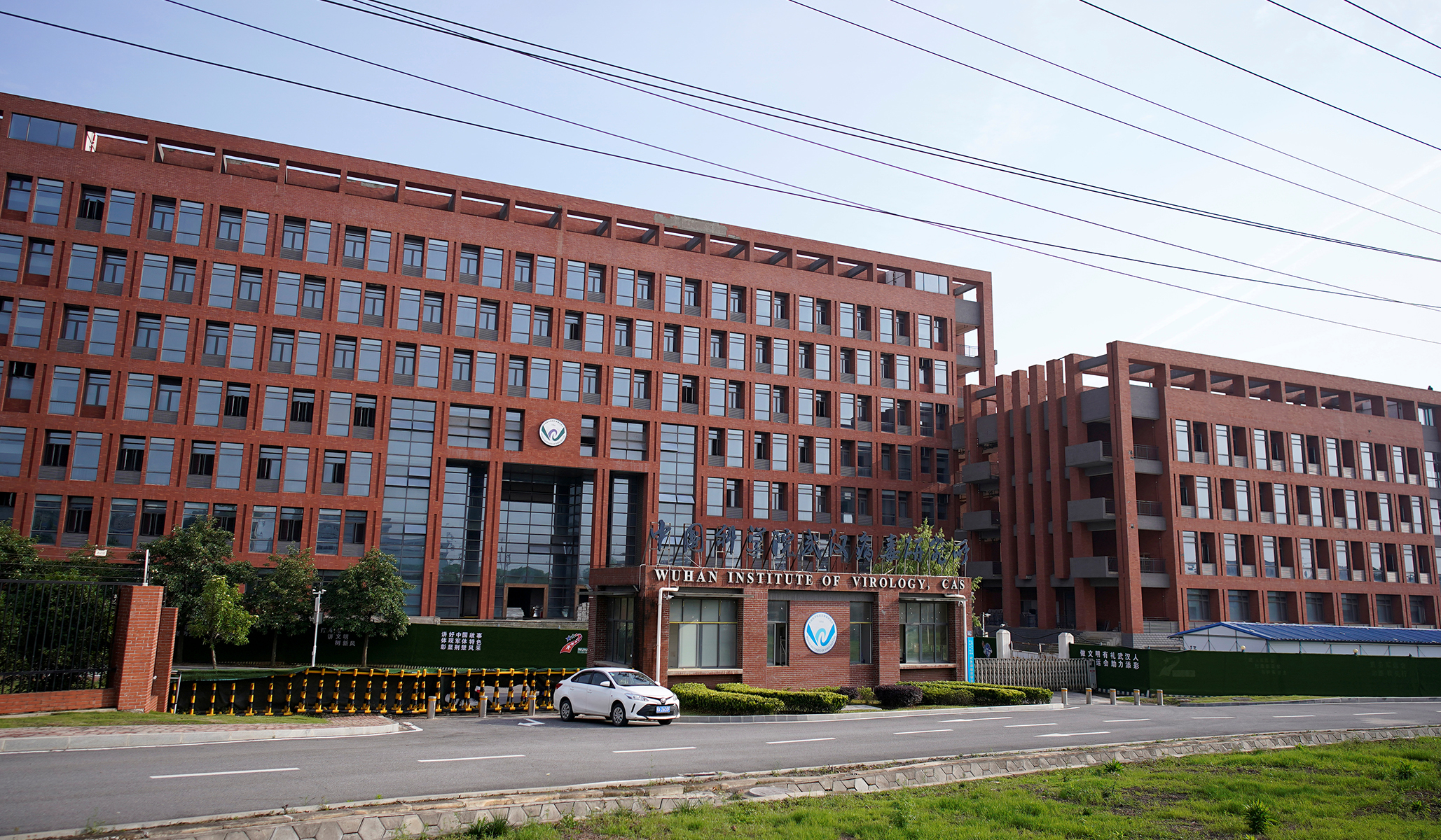 NextImg:NIH Renews Funds for ‘Bat Coronavirus’ Research despite Energy Department, FBI’s Lab-Leak Conclusion