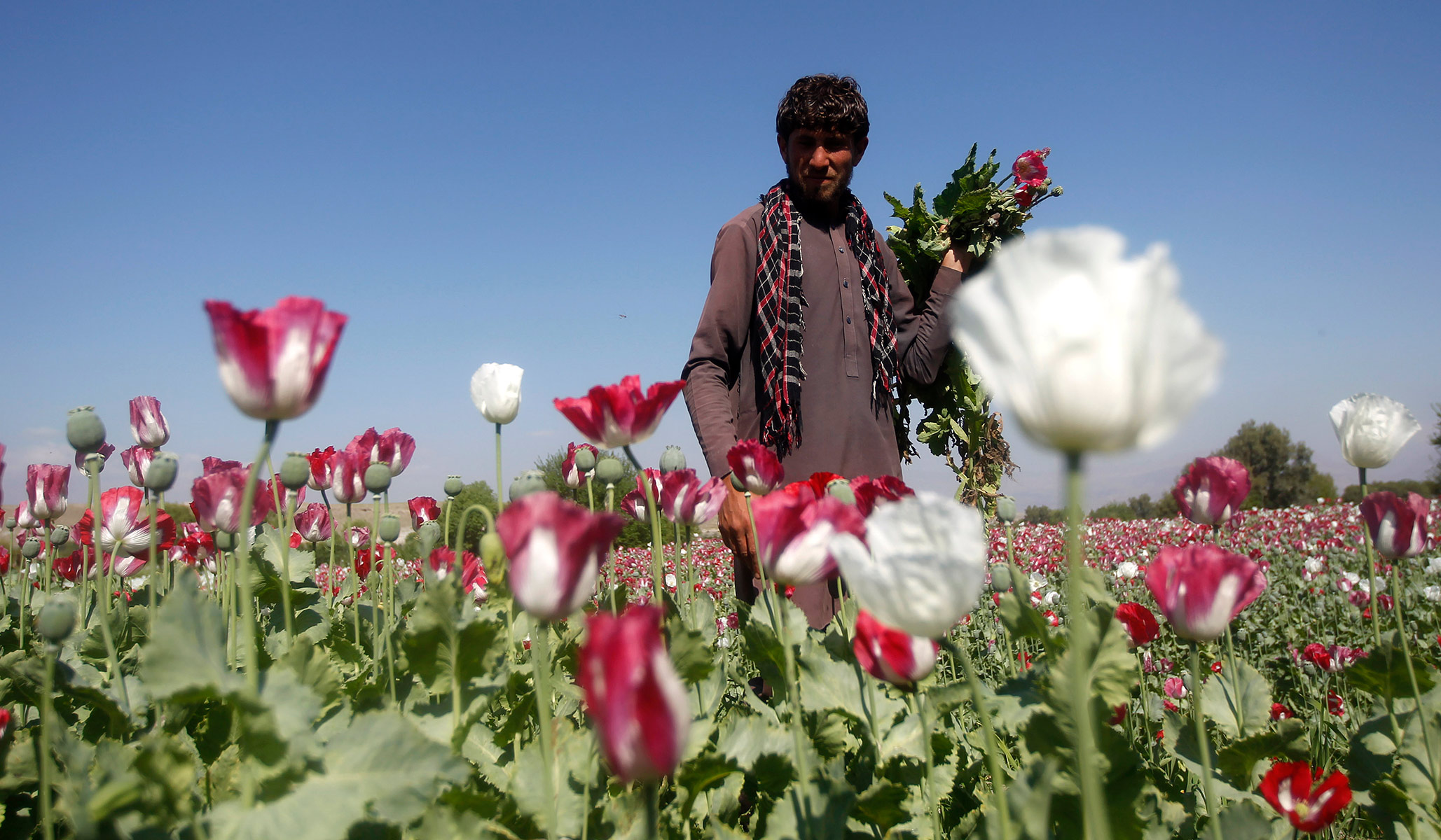 Afghanistan’s Coming Economic Collapse — and What It Could Mean