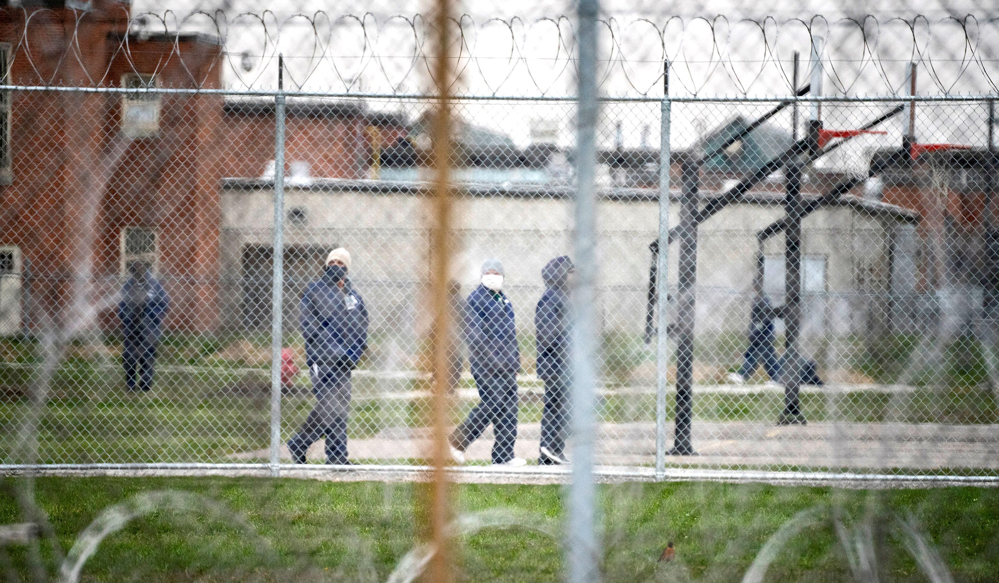 NextImg:The Corner: Mass. Democrats Propose Turning Prisoners into Organ Farms