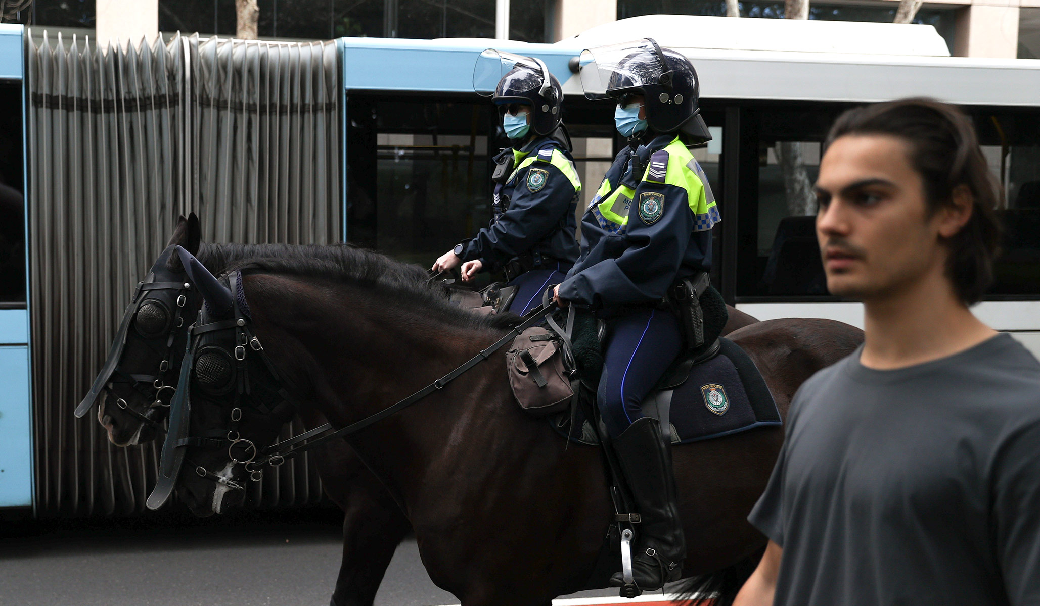 sydney police horses