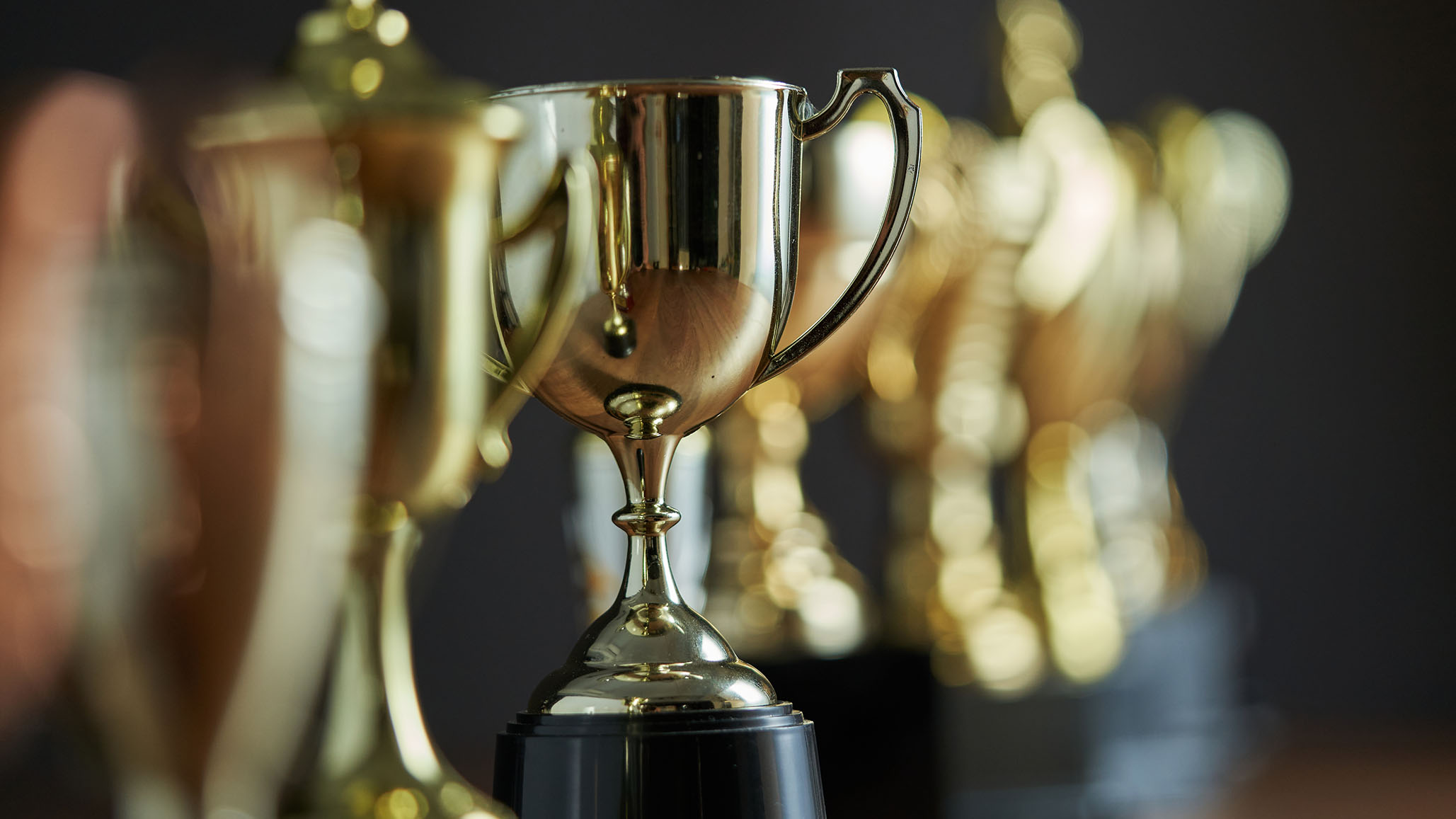 What If There Is No Meritocracy?