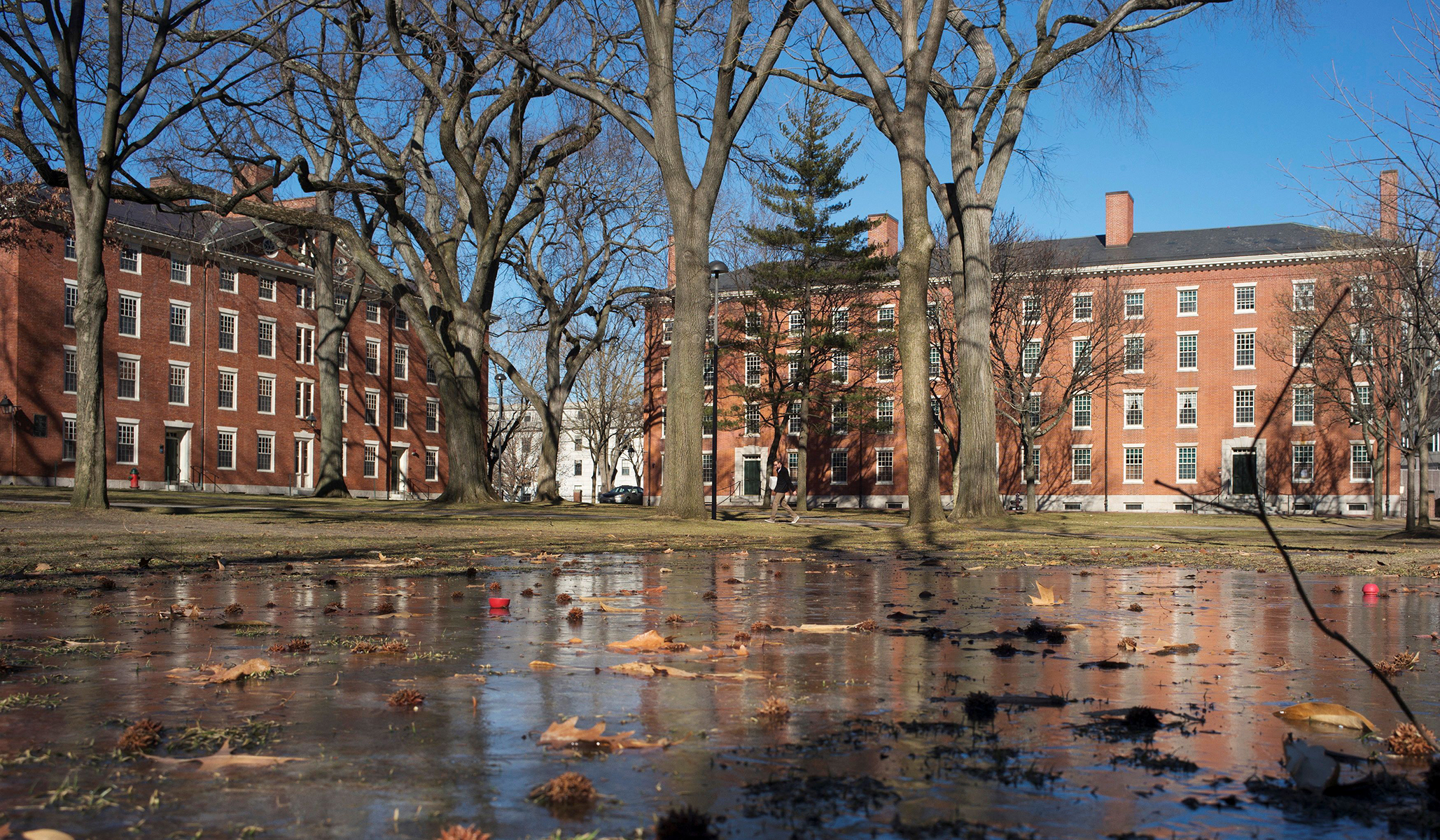 Supreme Court to Hear Cases Challenging Affirmative-Action Policies at Harvard, UNC