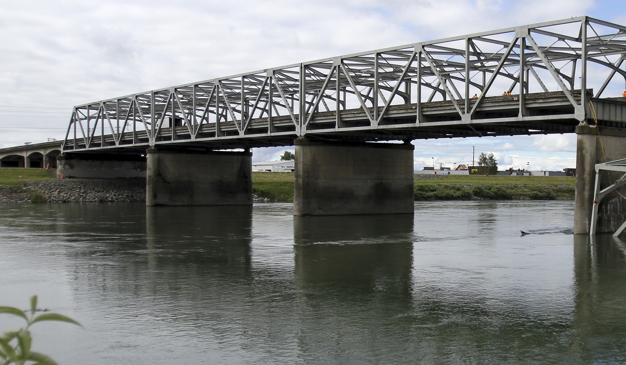 ‘Salmon’ Sue Seattle City Light Power Company for Violating Rights of Fish ‘Salmon’ Sue Seattle City Light Power Company for Violating Rights of Fish