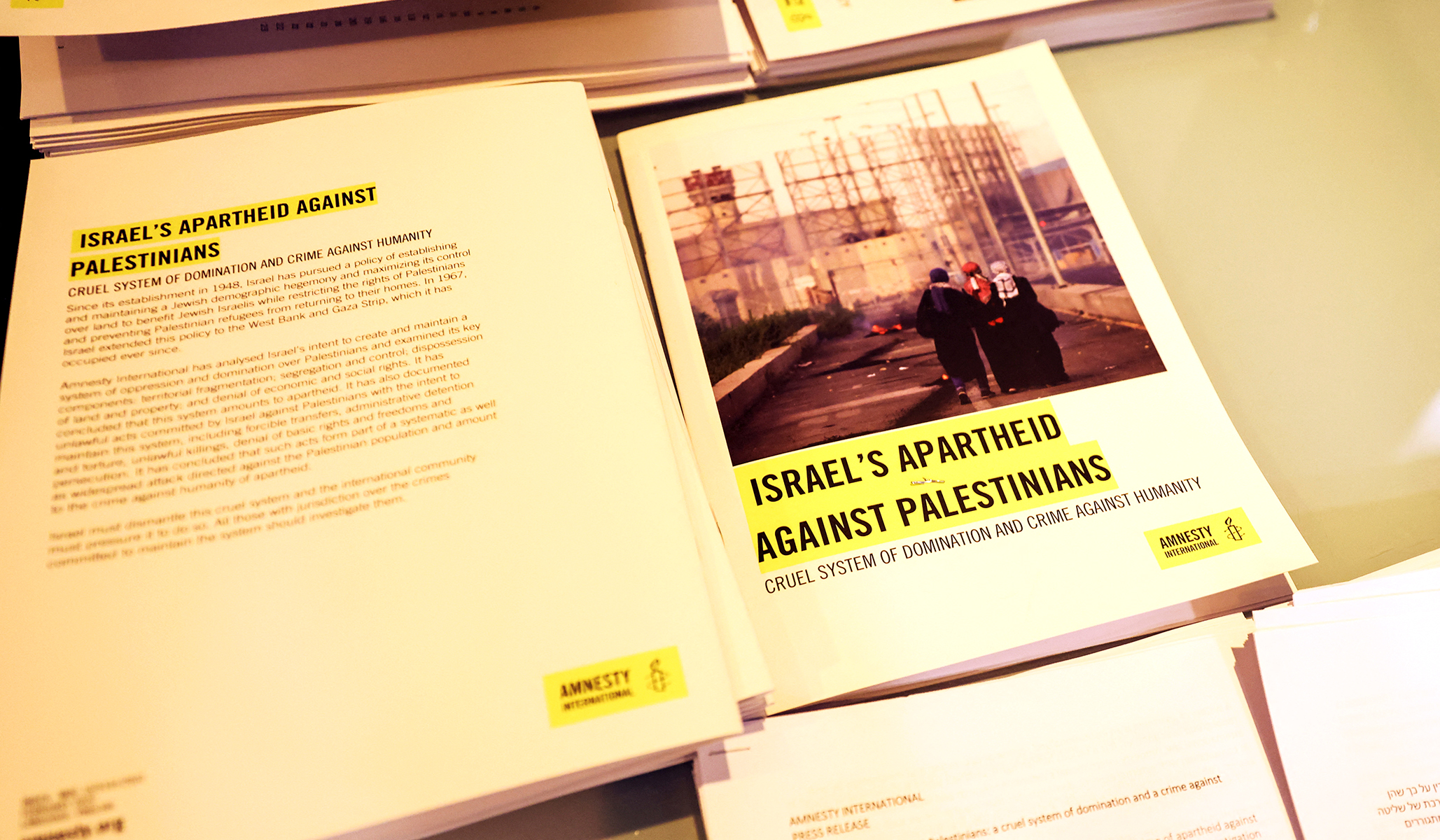 Amnesty International Joins the Anti-Israel Jackals
