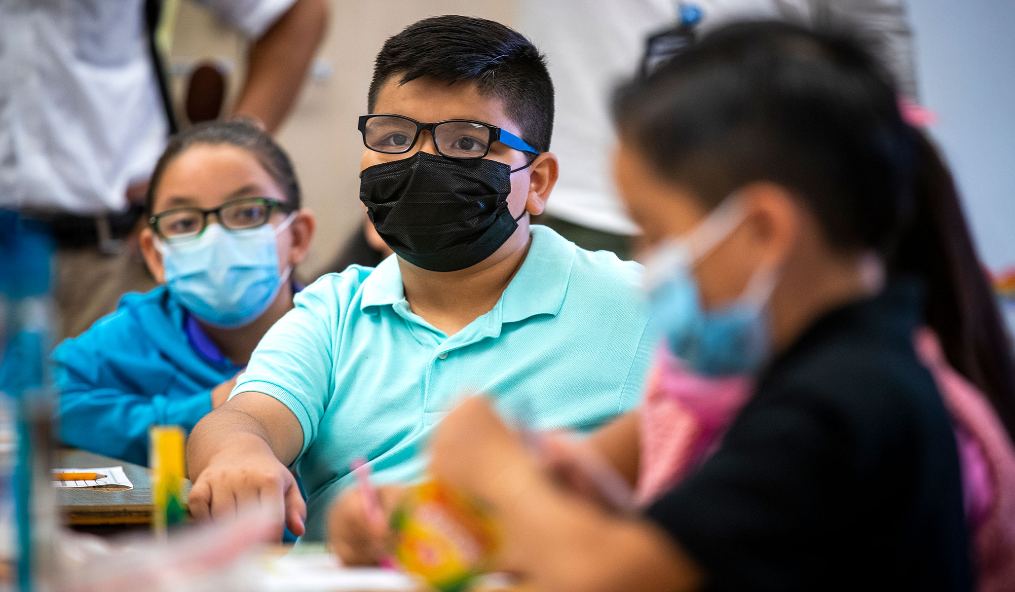 The Credibility-Triage Operation