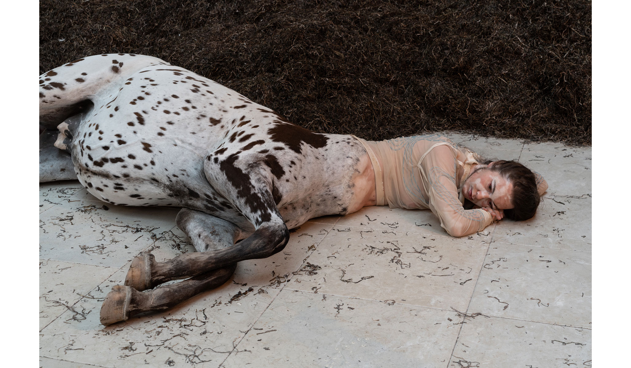 Art Review: At Venice Biennale, Centaurs & Reindeer Transfix | National  Review