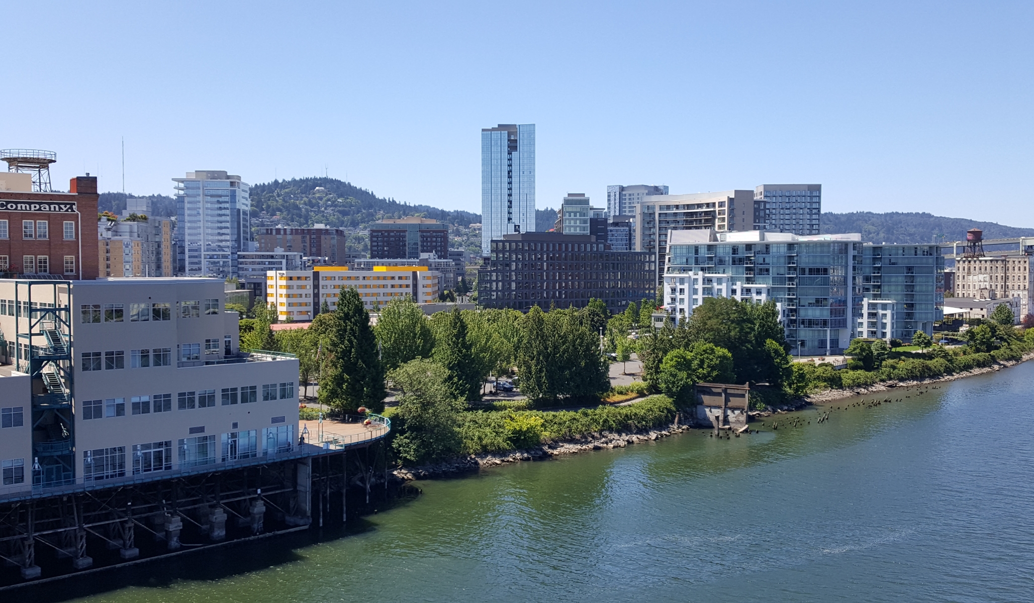 Violent Portland Pro-Abortion Protesters Destroy, Vandalize Property