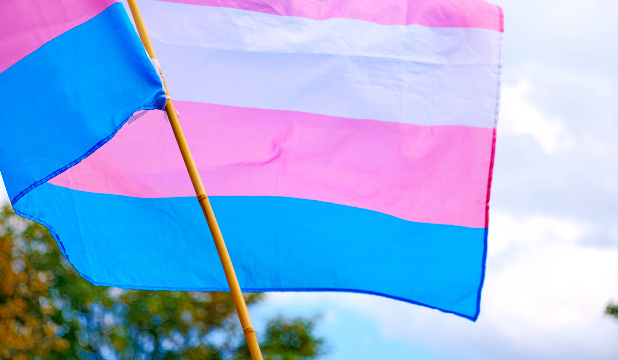 NextImg:Federal Judge Blocks Florida Law Limiting Gender-Transition Treatments for Minors