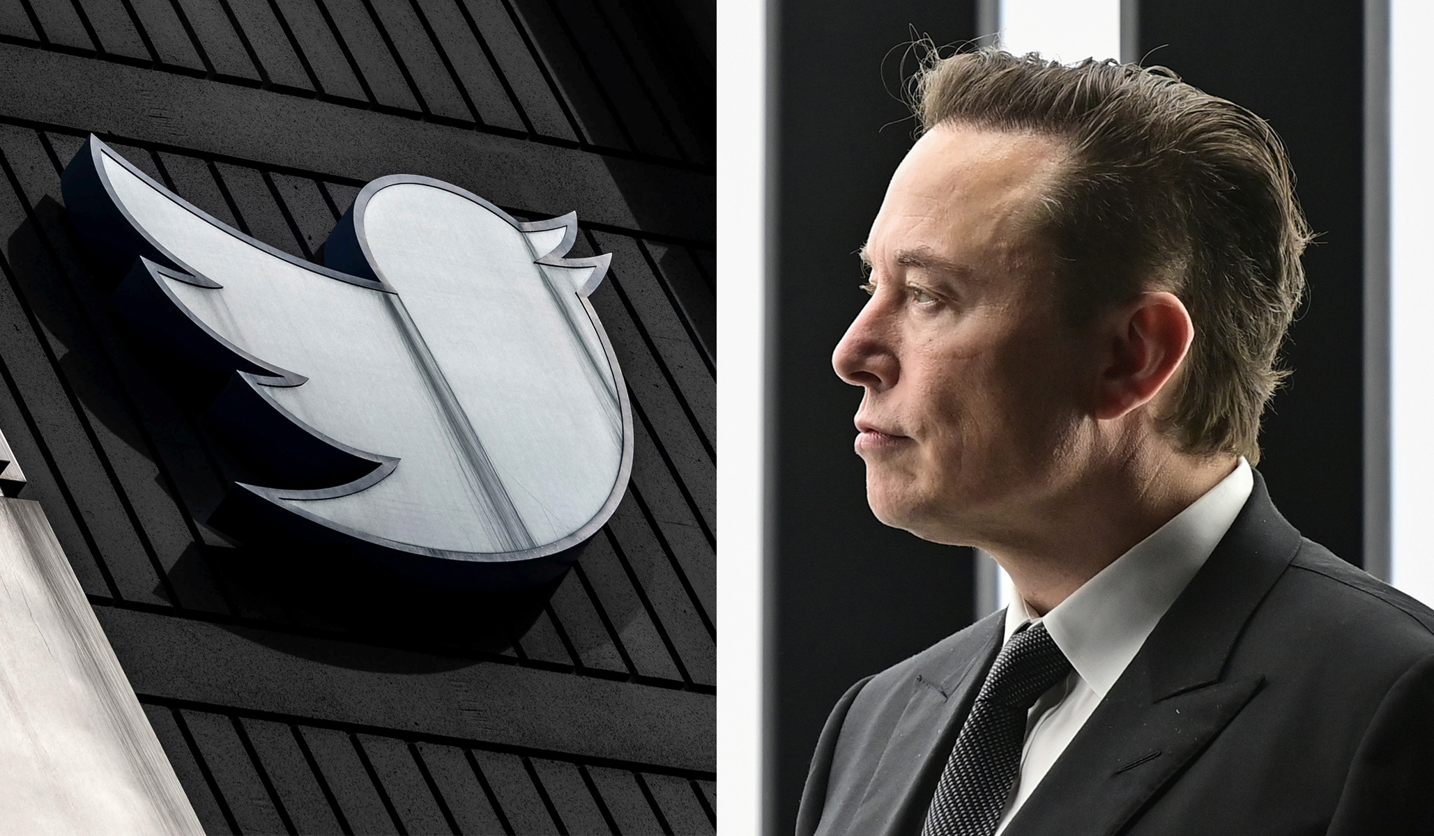 Elon Musk Disbands Twitter Board, Appoints Himself 'Sole Director'