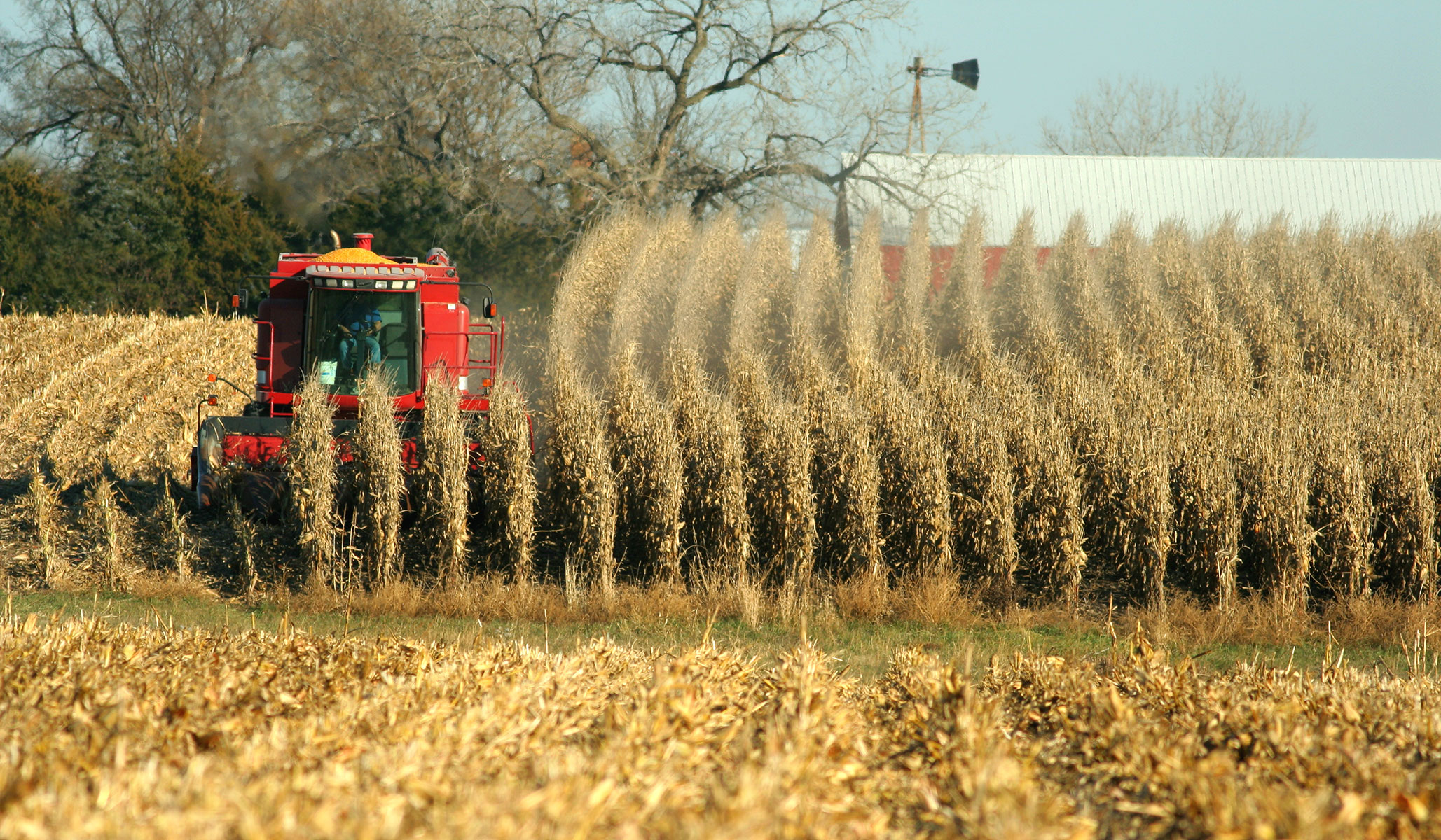 ESG Investing Hurts the Poor and Empowers Tyrants ESG Investing Hurts the Poor and Empowers Tyrants