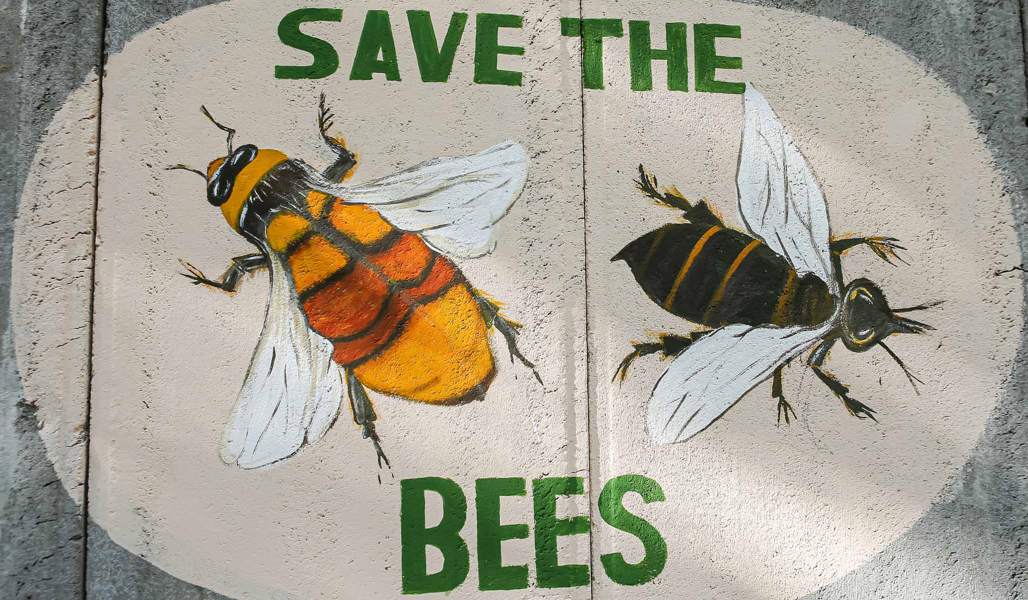 Welfare for Bees Is a Textbook Example of Lawmakers&rsquo; Hive Mentality