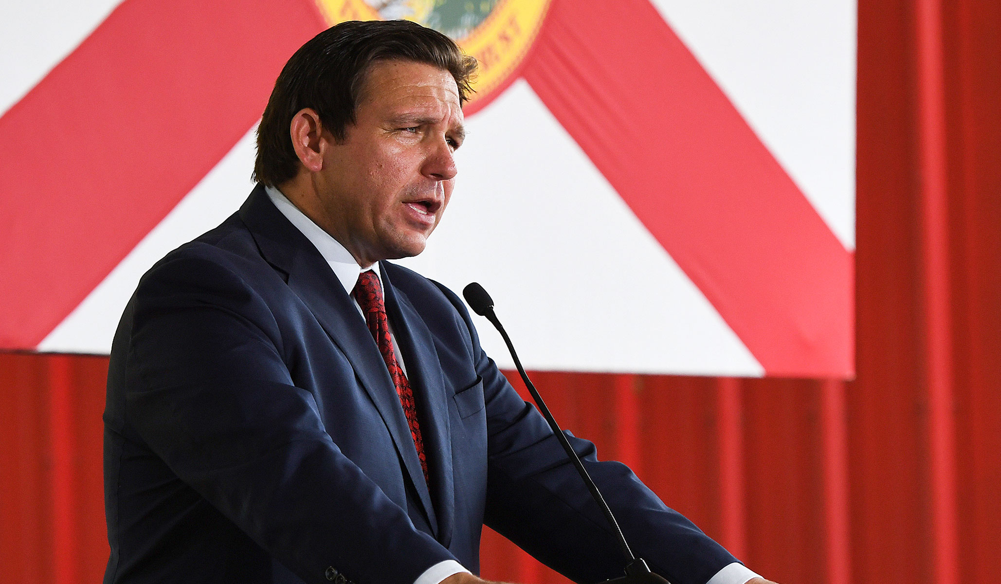 Florida School Library Books Controversy The Truth Behind the Freakout