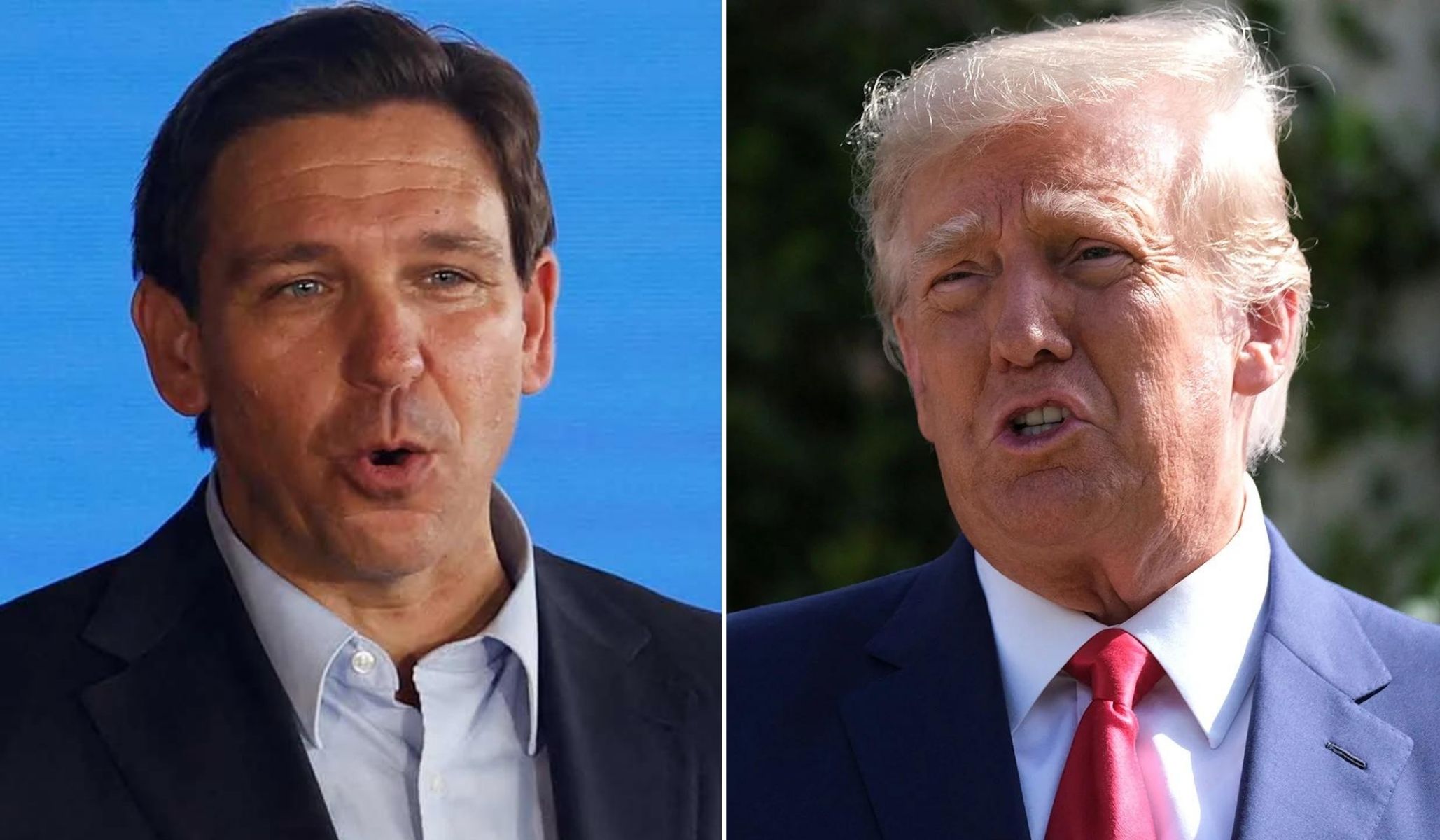 NextImg:DeSantis Exposes Trump World’s Glass Jaw