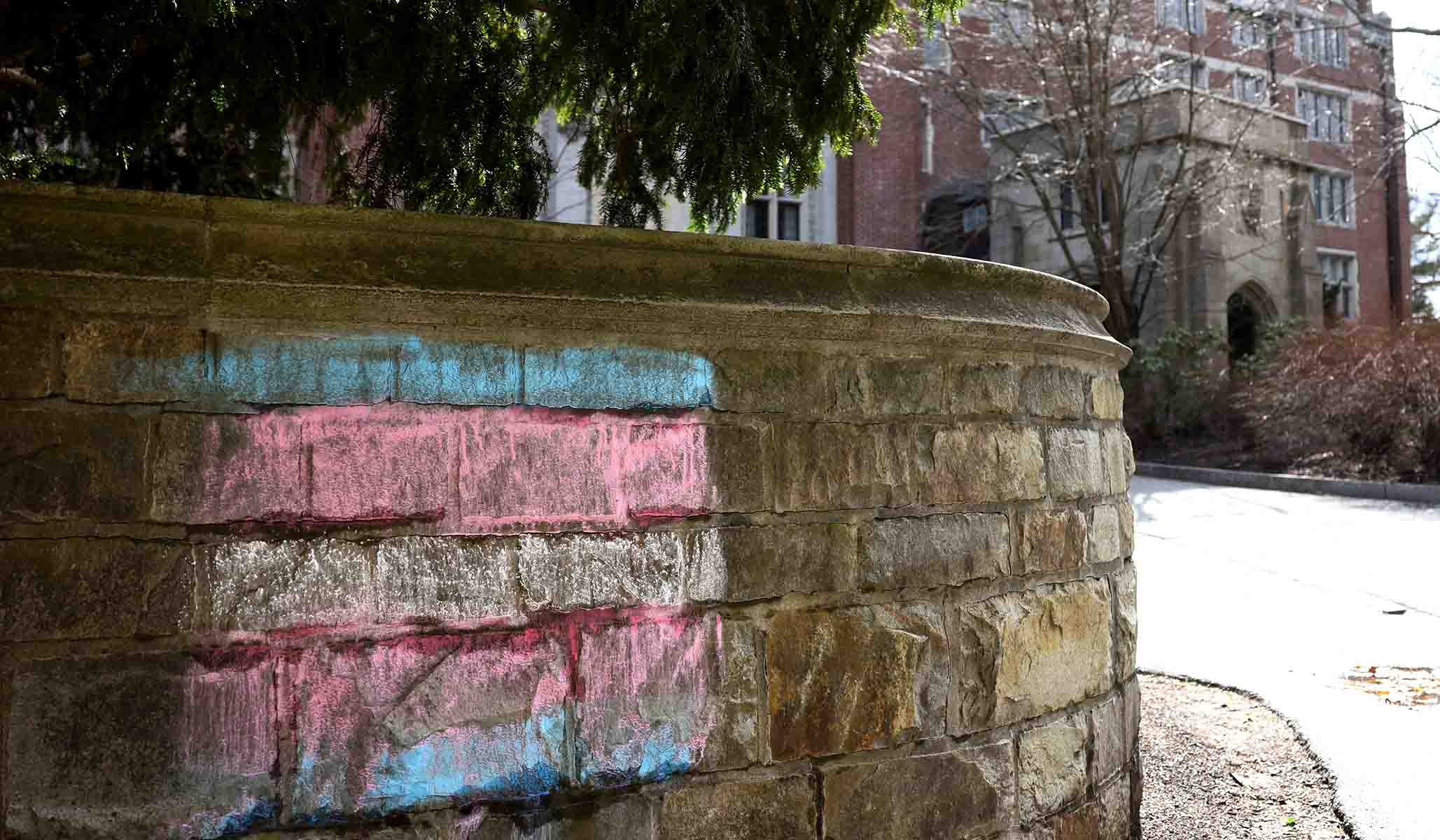 NextImg:Wellesley Students Reject Biology