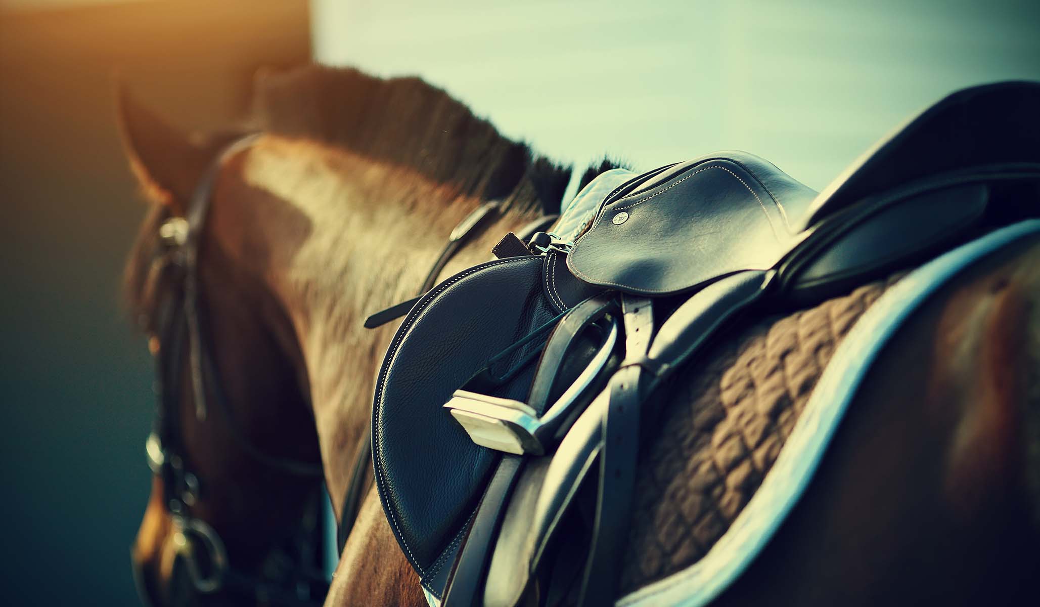 NextImg:The Corner: A Modest Proposal to End Equestrian Inequality