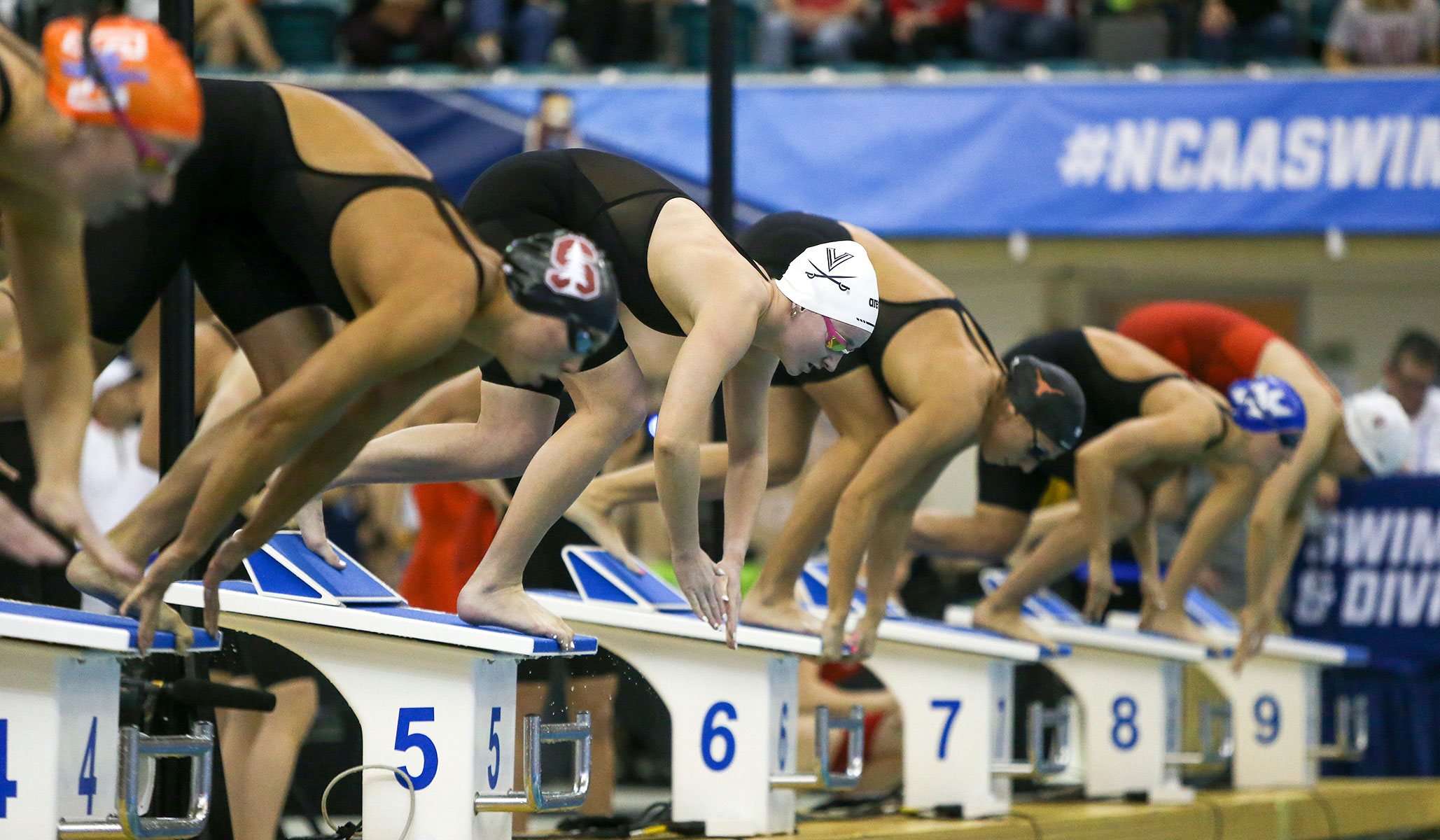 NextImg:Female Athletes Are Losing to the Radical Left