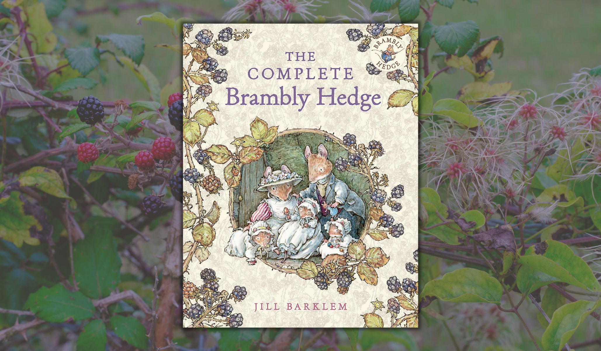While Away Some Hours in Brambly Hedge