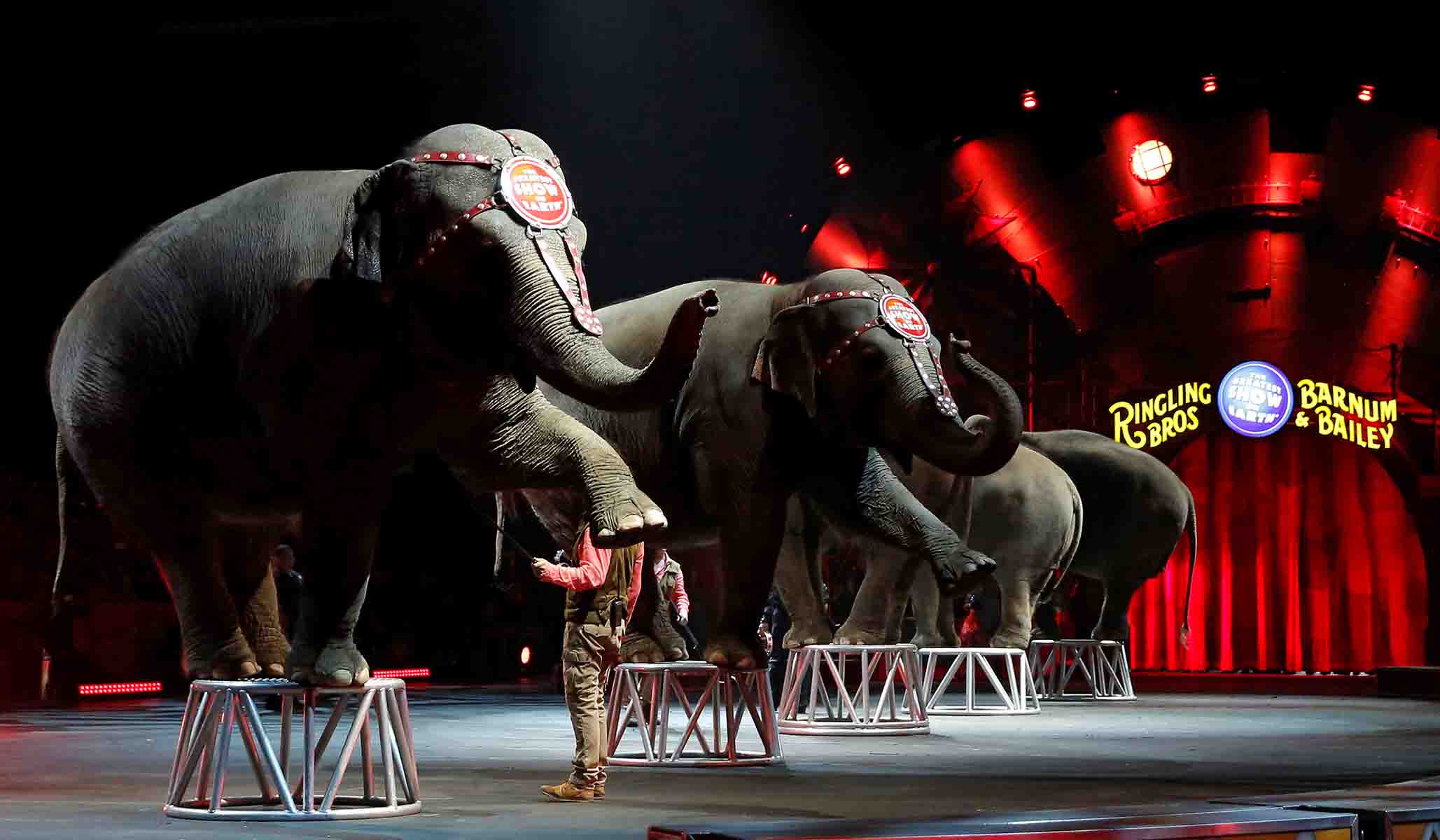 NextImg:The circus begins, &c.