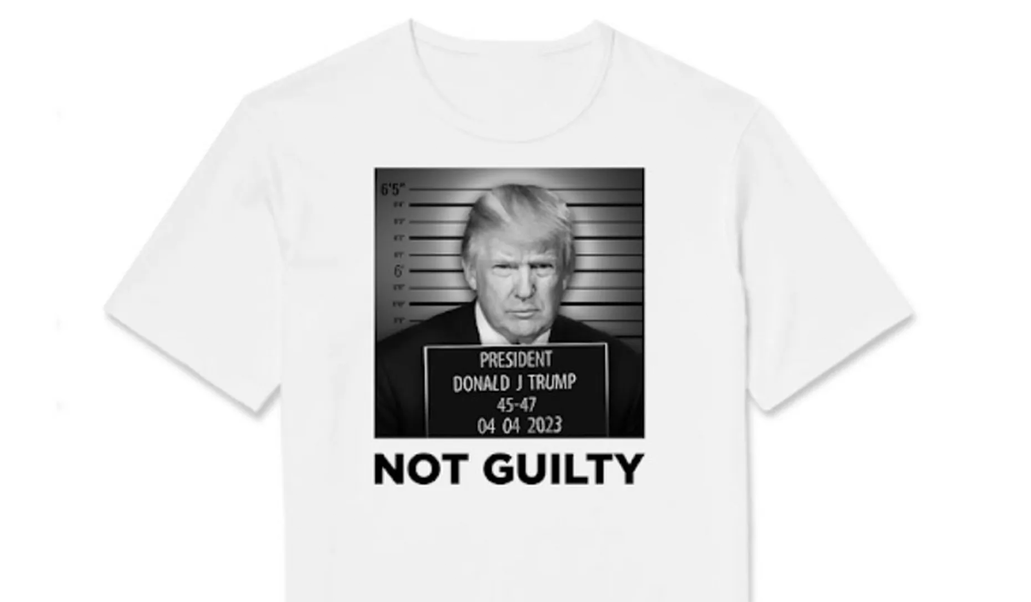 NextImg:Trump Takes His Own Mug Shot