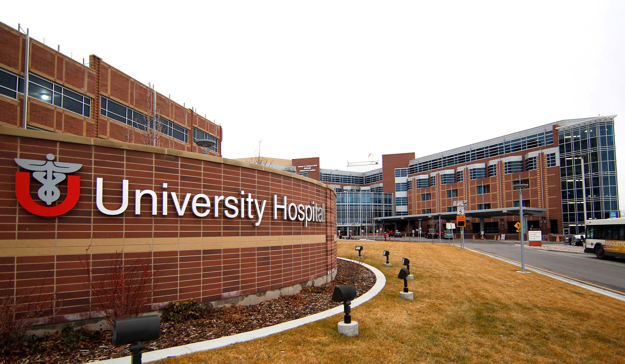 NextImg:Woke Accreditors Are Coming for Medical Schools
