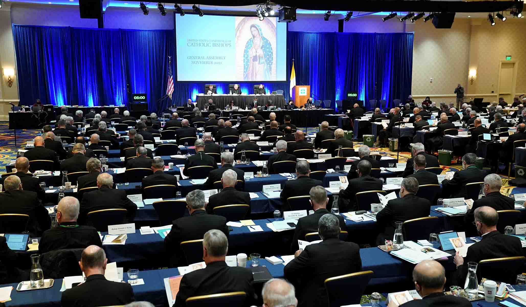 NextImg:U.S. Bishops to Direct Catholic Hospitals Not to Perform Sex-Change Surgeries, Hormone Treatments