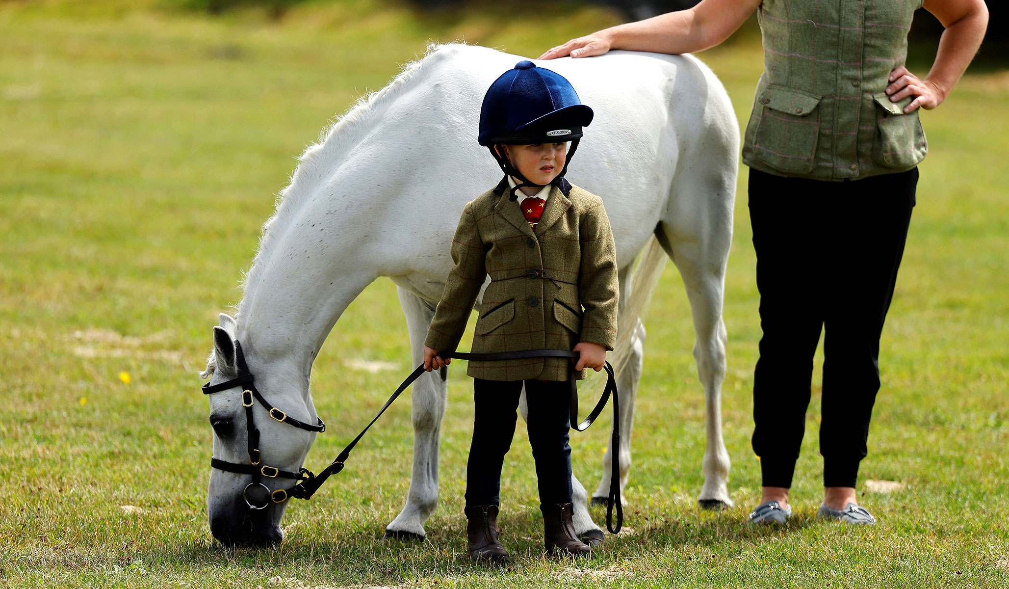 Article Image Article Image